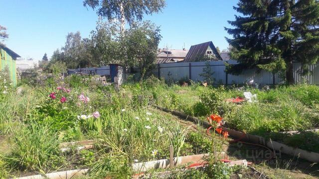 Первоуральск городской округ, Звезда-1 СНТ фото