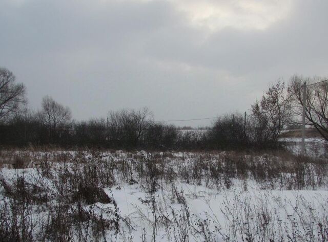 д Сычёво Коломна городской округ фото