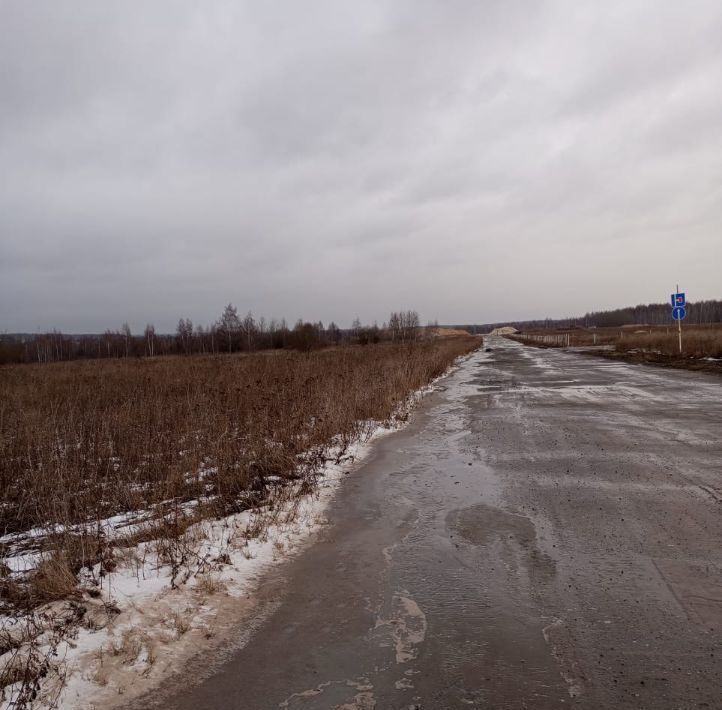 земля р-н Скопинский снт Здоровье Турлатовское с/пос, садоводческое товарищество, Рязанский район фото 4