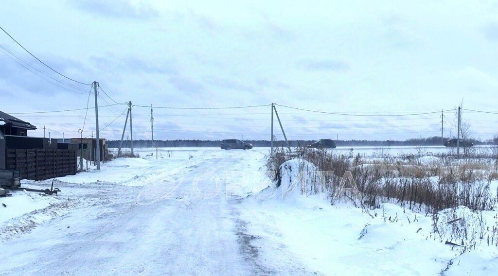 земля р-н Нижнетавдинский д Московка ул Центральная фото 3