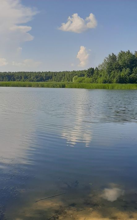 дом р-н Грязинский Ярлуковский сельсовет, Мелиоратор СНТ фото 14