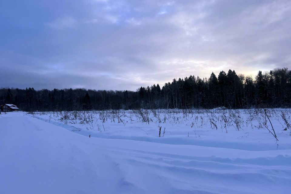 земля городской округ Истра Рижские Зори фото 9