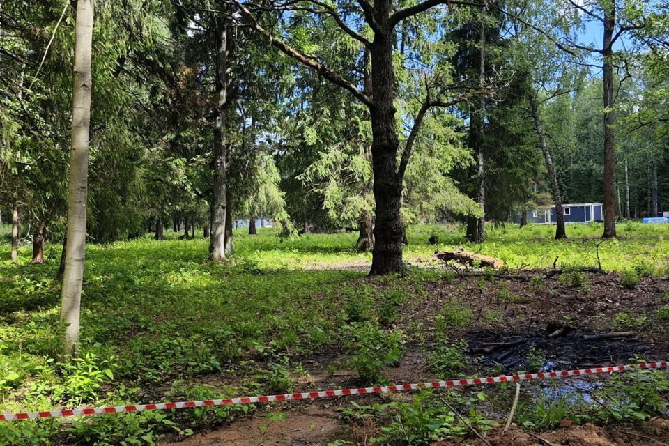 земля городской округ Наро-Фоминский фото 5