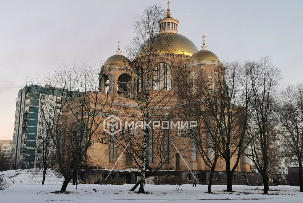 квартира г Санкт-Петербург метро Комендантский Проспект ул Долгоозёрная 1 фото 23