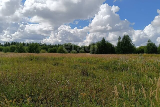 земля р-н Октябрьский ул Новгородская фото