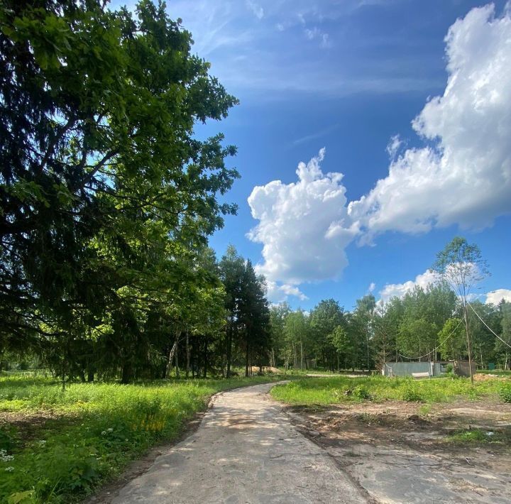 дом городской округ Наро-Фоминский п Александровка фото 6