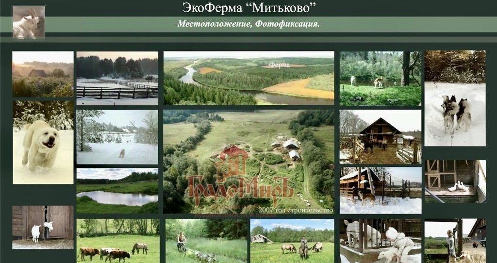 офис р-н Селижаровский д Митьково фото 24