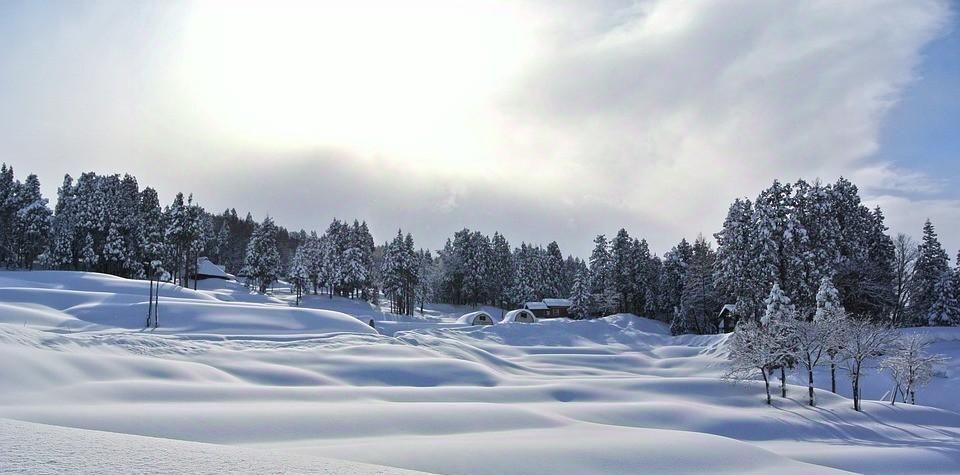 земля р-н Нижнекамский с Сарсаз-Бли Шингальчинское с/пос фото 1