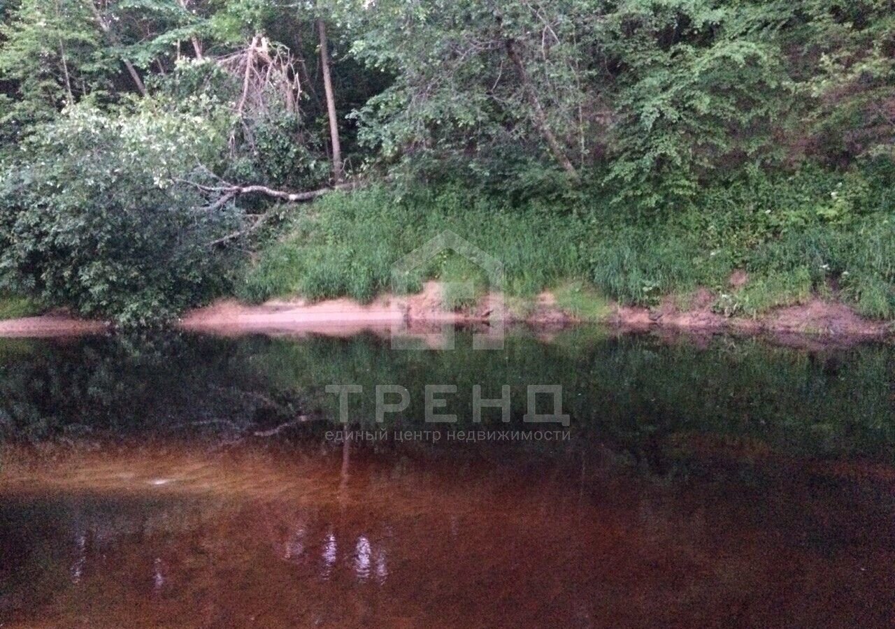 земля р-н Лужский д Табор ул Нижний Табор Киевское шоссе, 103 км, Толмачёвское городское поселение, Толмачево фото 4