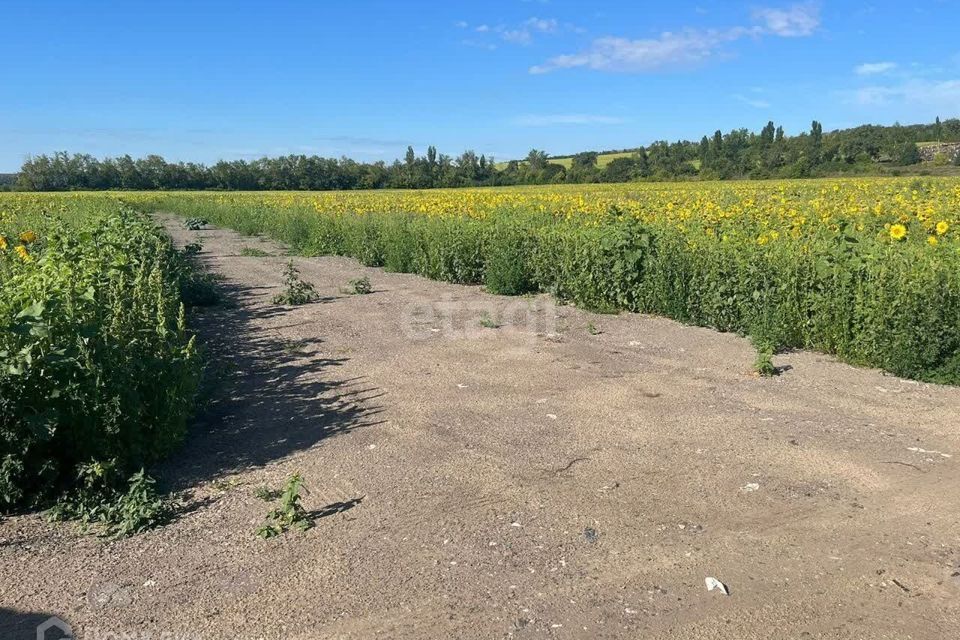 земля р-н Хохольский с. Новогремяченское фото 1