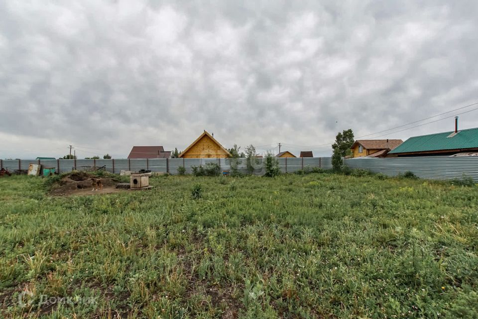 земля Барнаул городской округ, СНТ Берёзовая Роща-1 фото 4