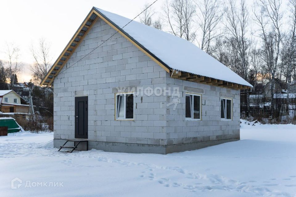 дом г Новосибирск р-н Октябрьский СНТ Труд, Новосибирск городской округ фото 1