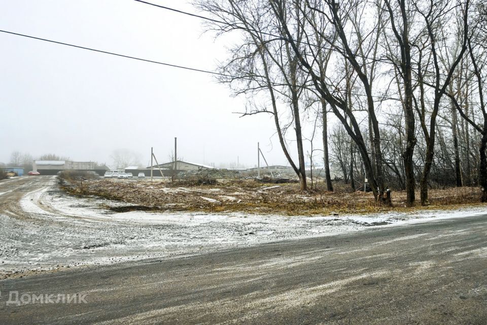 земля Муром городской округ, с. Дмитриевская Слобода фото 5