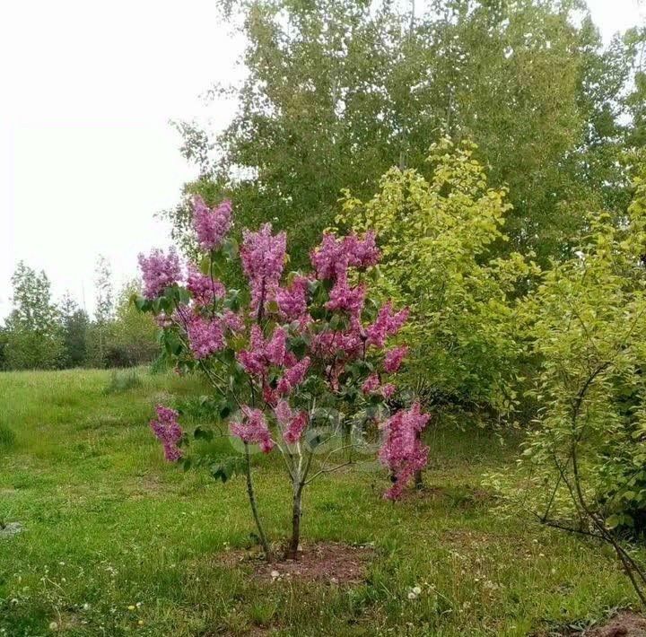 дом р-н Семилукский снт Строитель Девицкое с/пос фото 19