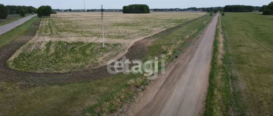 земля р-н Омский с Петровка ул Школьная 10 Петровское сельское поселение, Омск фото 4