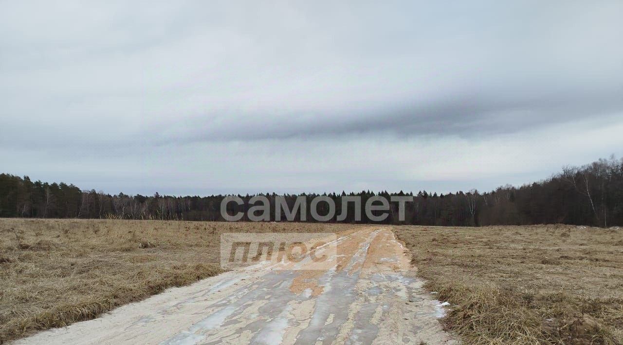 земля городской округ Серпухов д Райсеменовское фото 3