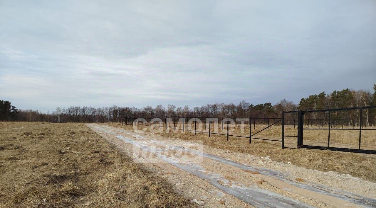 земля городской округ Серпухов д Райсеменовское фото 3