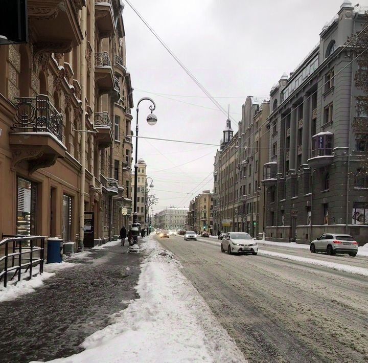 свободного назначения г Санкт-Петербург р-н Петроградский пр-кт Каменноостровский 59 округ Аптекарский остров фото 2