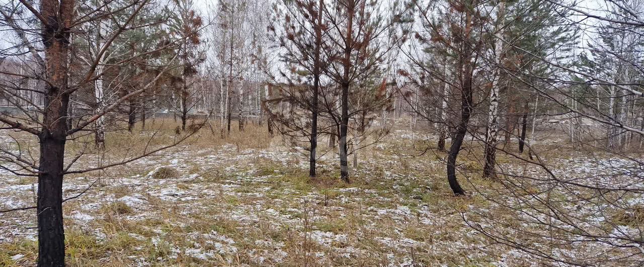 земля р-н Чебаркульский с Травники Травниковское сельское поселение, Чебаркуль фото 20