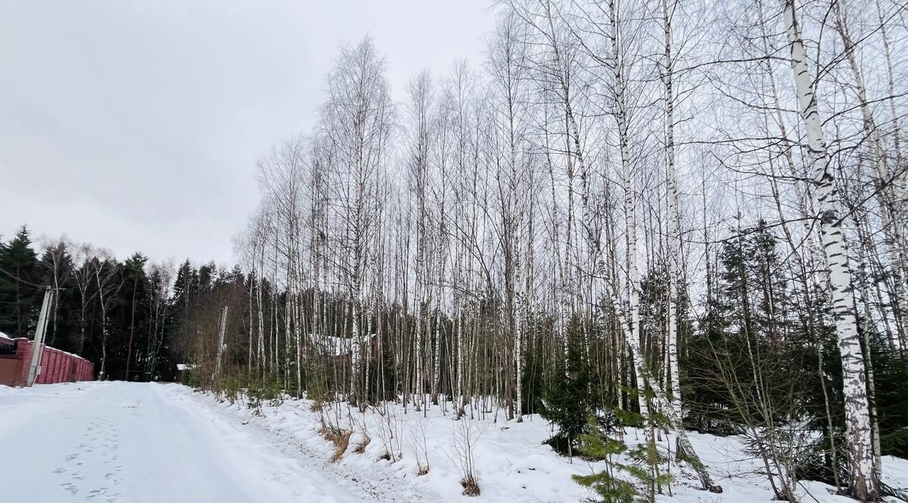 земля городской округ Можайский Клуб ДНП, туп. Карманный, Морской фото 2