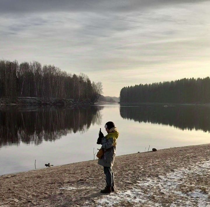 земля р-н Выборгский п Барышево пр-д Яблоневый Гончаровское с/пос фото 7