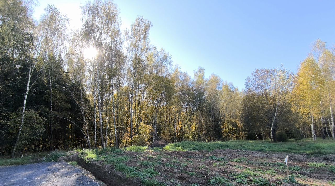 земля городской округ Чехов д Васькино Васькино ИЖС кп, ул. Агафьевская фото 3