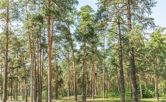 9 км, коттеджный пос. Никольская Слобода, Красногорск, Волоколамское шоссе фото