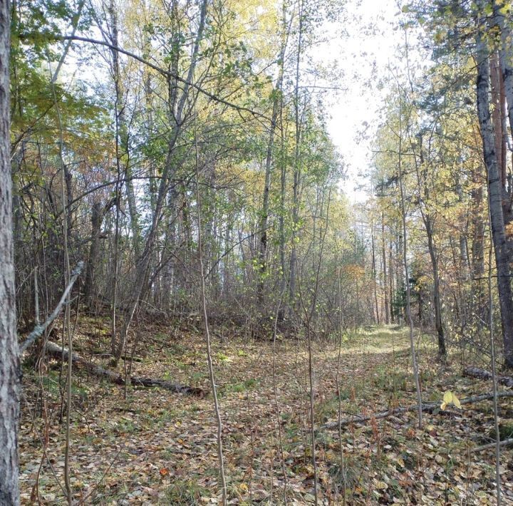 земля р-н Кондопожский г Кондопога Кондопожское городское поселение фото 7