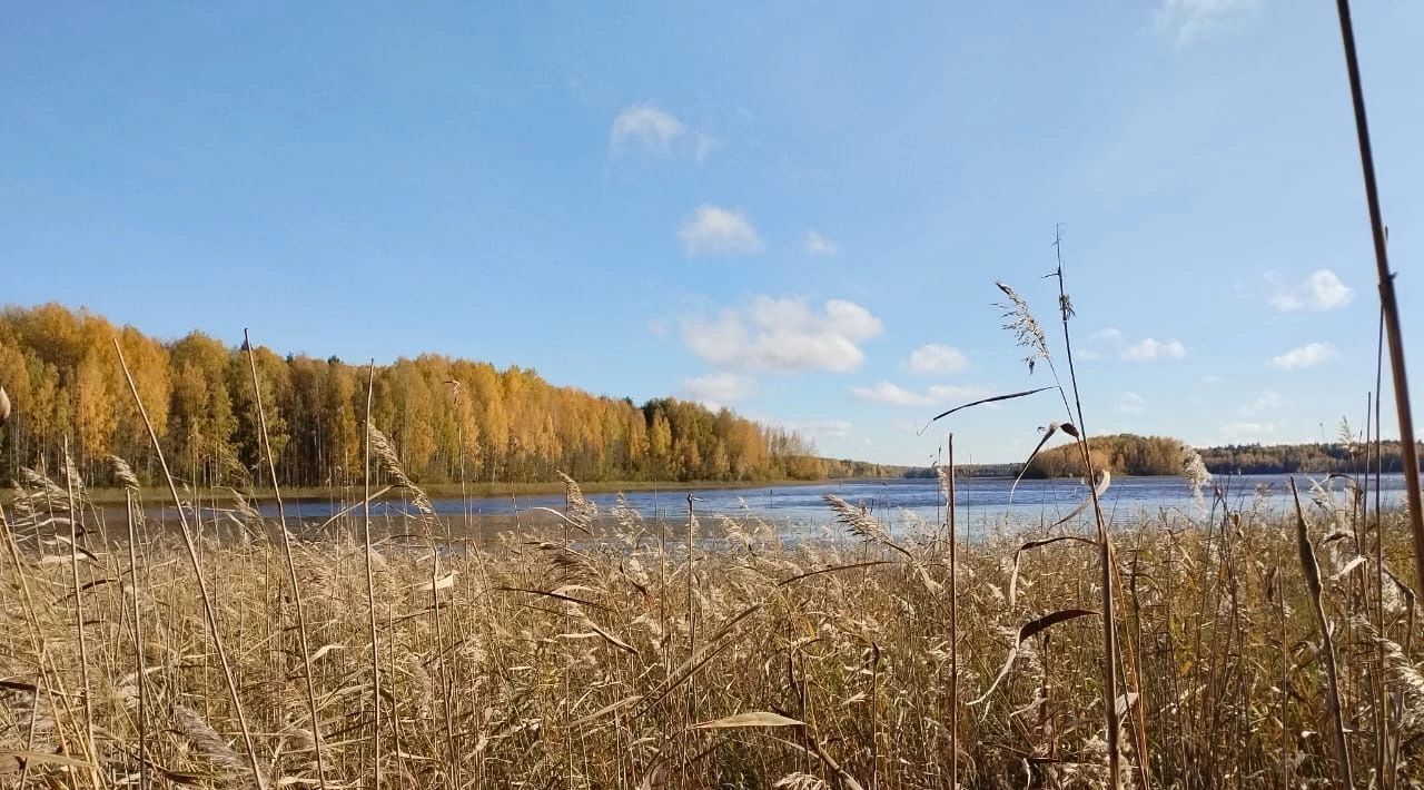 земля р-н Кондопожский г Кондопога Кондопожское городское поселение фото 18