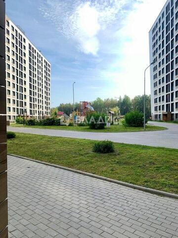 Ленинградская область фото
