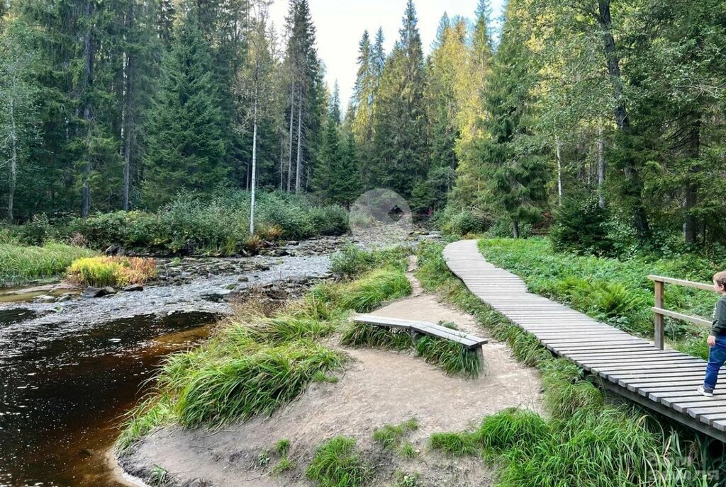 дом р-н Лахденпохский г Лахденпохья ул Лесная 15 Лахденпохское городское поселение фото 23