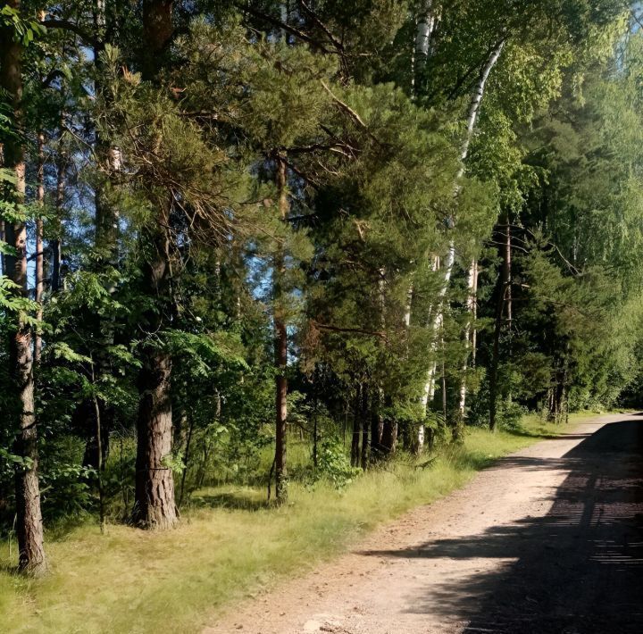 земля городской округ Щёлково д Борисовка 108 фото 7