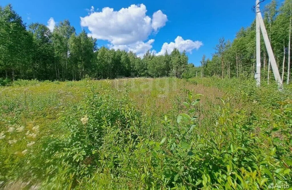 офис р-н Ломоносовский д Новая Буря Лопухинское сельское поселение фото 1