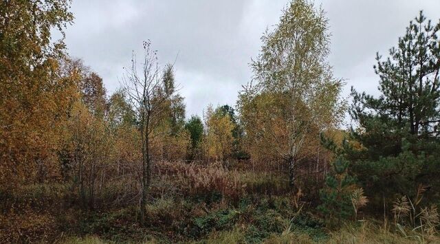 Коломна городской округ, д. Климово фото