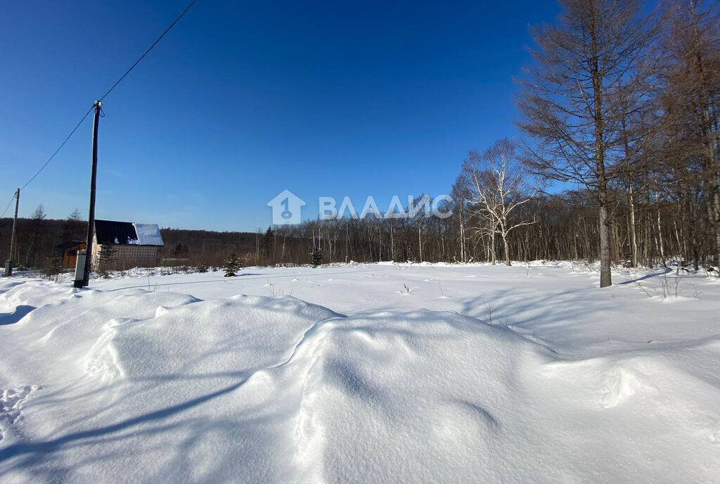 земля г Южно-Сахалинск тер ДНТ Нарколог фото 1