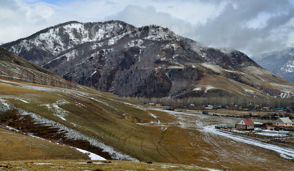 земля р-н Усть-Коксинский п Теректа ул Новая фото 1