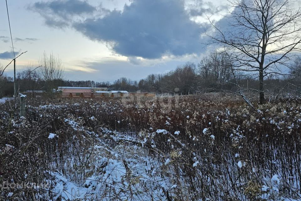 земля г Калининград р-н Центральный Калининград городской округ, СНТ Родник фото 1