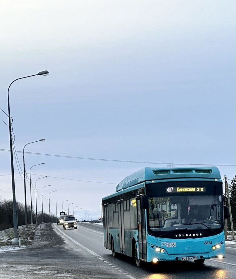 земля р-н Волосовский д Рутелицы Таллинское шоссе, 31 км, Клопицкое сельское поселение, Жабино фото 13