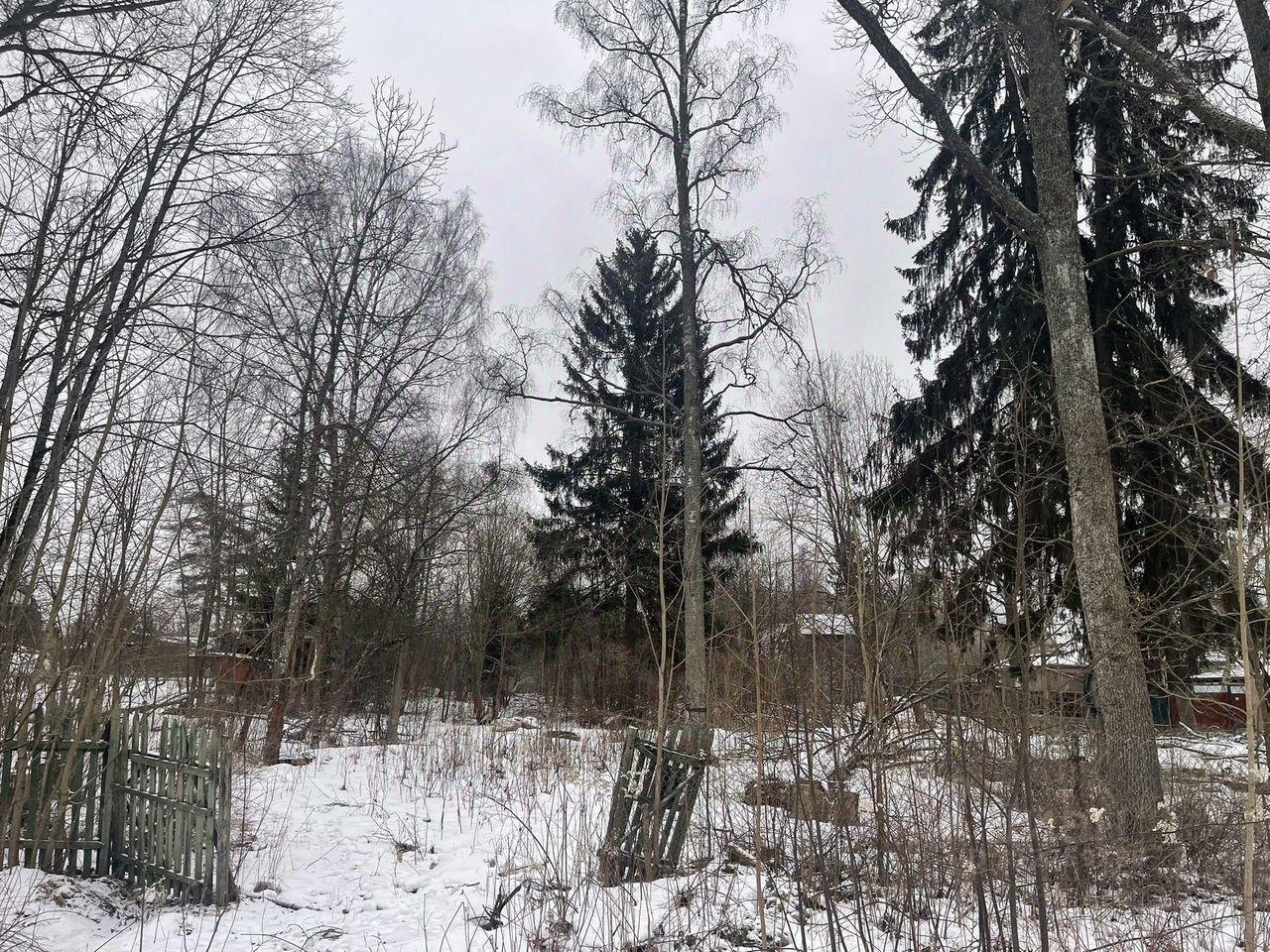 земля р-н Гатчинский п Сиверский ул Горького Сиверское городское поселение фото 4