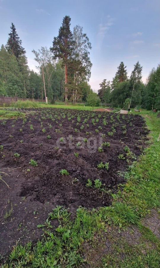 дом р-н Емельяновский п Емельяново ул Лесная сельсовет, садоводческое товарищество Верба, Элитовский фото 9