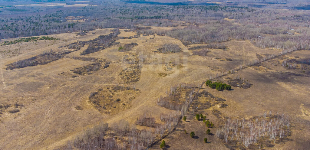 земля р-н Нижнетавдинский с Бухтал Бухтальское сельское поселение фото 12