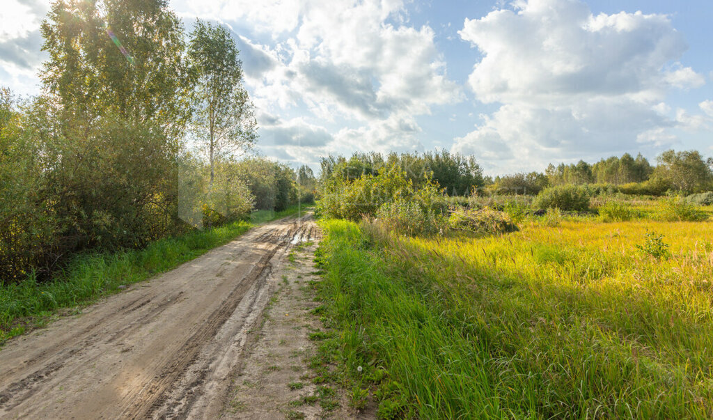 земля р-н Нижнетавдинский снт Моторостроитель ул Смородиновая фото 8