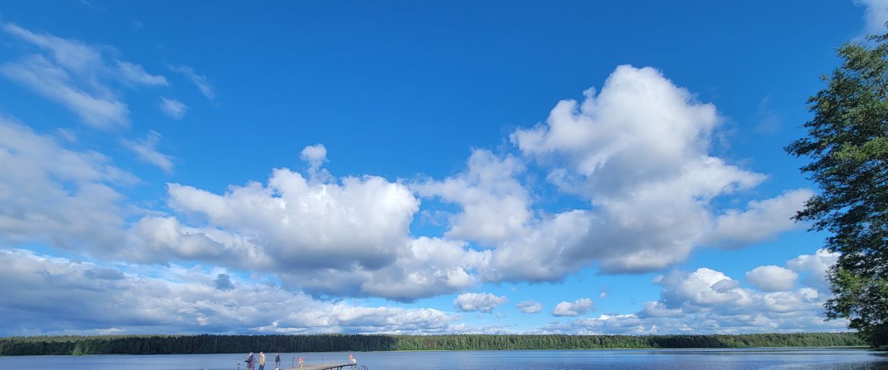 земля р-н Выборгский Приморское городское поселение, Гармония СНТ, 158 фото 9