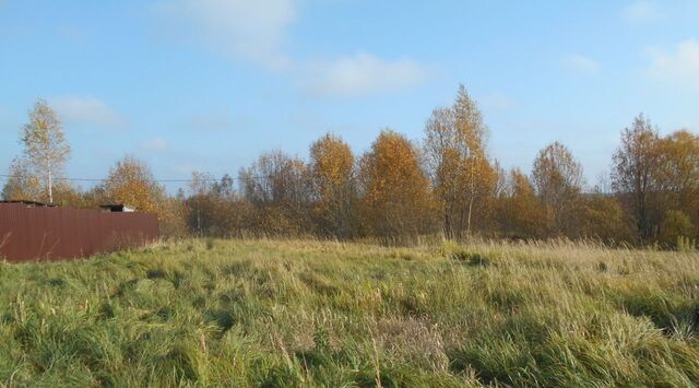 д Степаньково ул Огородная фото