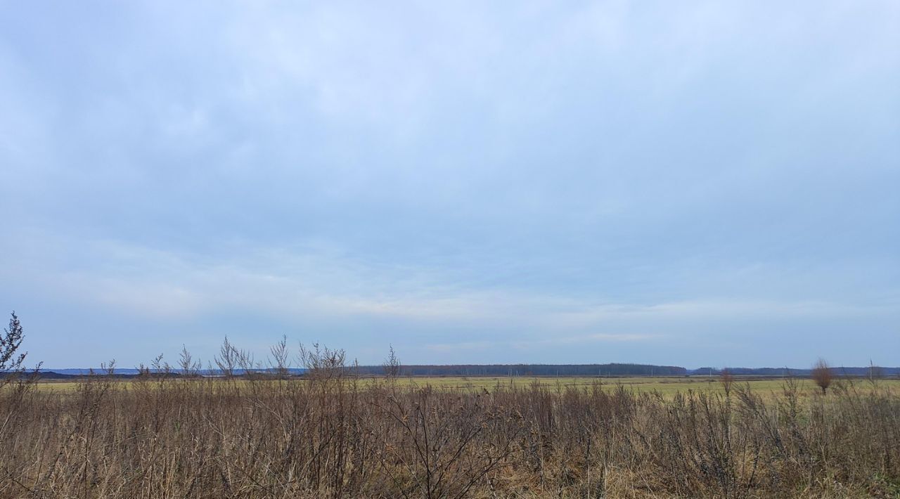 офис городской округ Раменский д Захариха фото 3