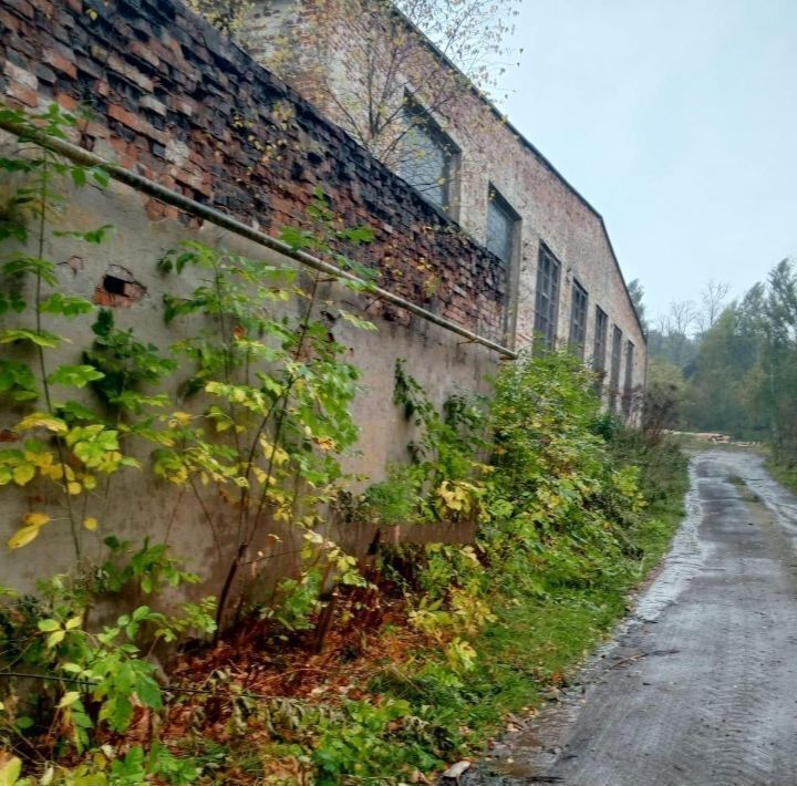 производственные, складские г Ржев ул Чернышевского 1а фото 4