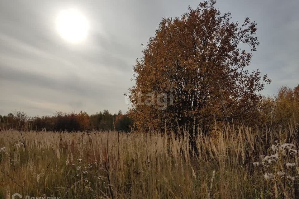 земля р-н Медведевский п Руэм Сад 4 фото 2