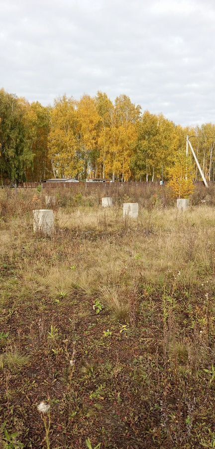 земля р-н Омский д Давыдовка Пушкинское сельское поселение, коттеджный пос. Давыдовский, Омск фото 5