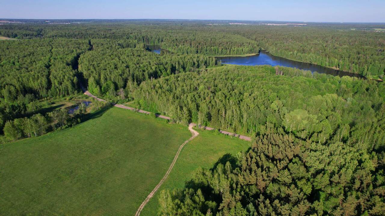 земля городской округ Мытищи д Долгиниха проезд Никольский Дмитровское шоссе фото 5