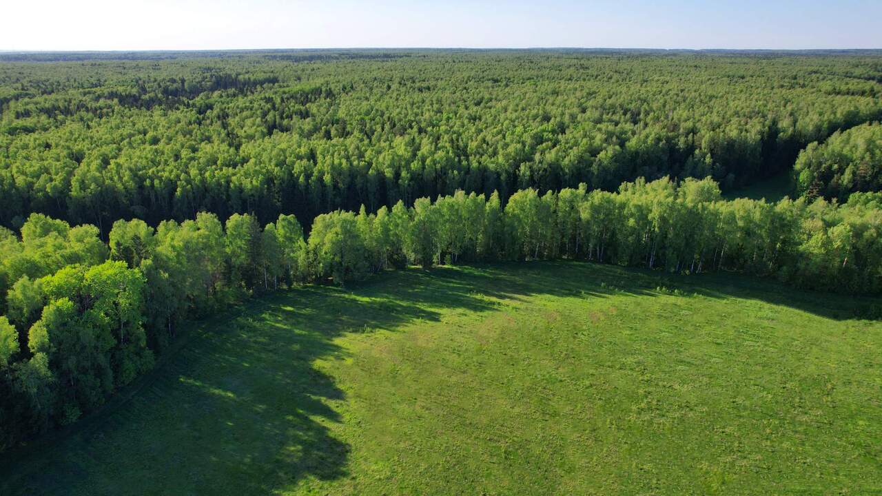 земля городской округ Мытищи д Долгиниха проезд Никольский Дмитровское шоссе фото 7